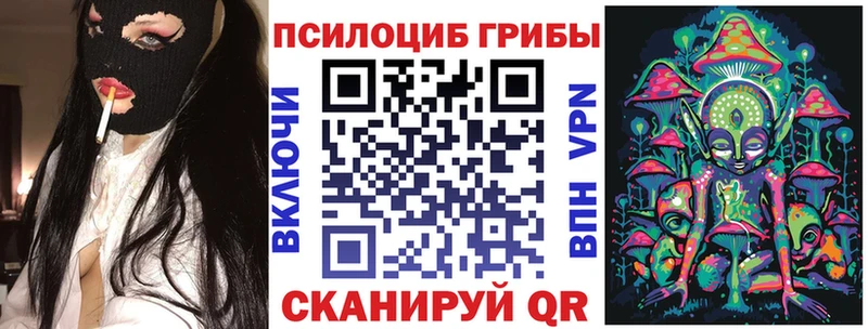 Псилоцибиновые грибы Psilocybine cubensis  как найти закладки  Киселёвск 