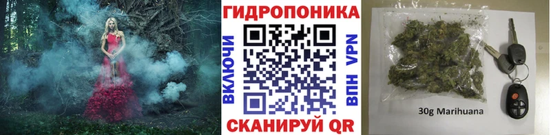 купить   Киселёвск  Бошки марихуана конопля 